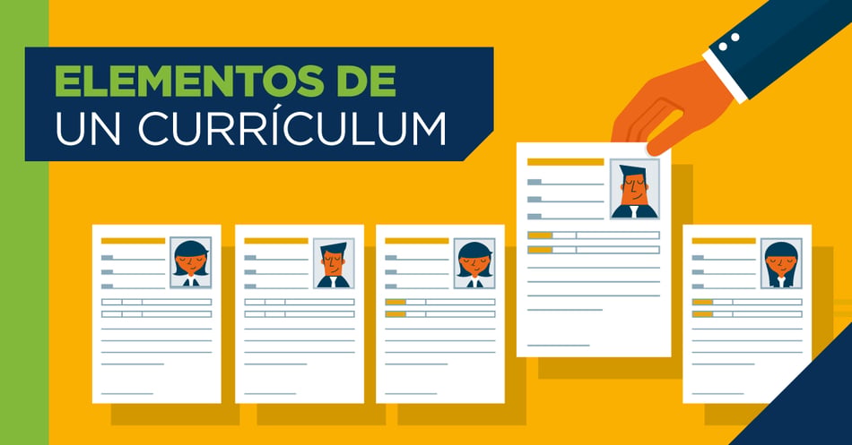 Que Componentes Graficos Incluyen Los Curriculum Vitae